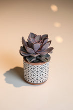Load image into Gallery viewer, Santa Fe Planter - 3.5&quot;
