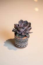 Load image into Gallery viewer, Santa Fe Planter - 3.5&quot;
